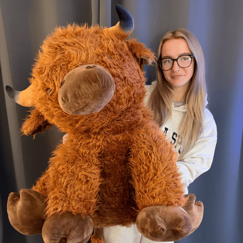 WIN A FUCKING HUGE HIGHLAND COW TEDDY