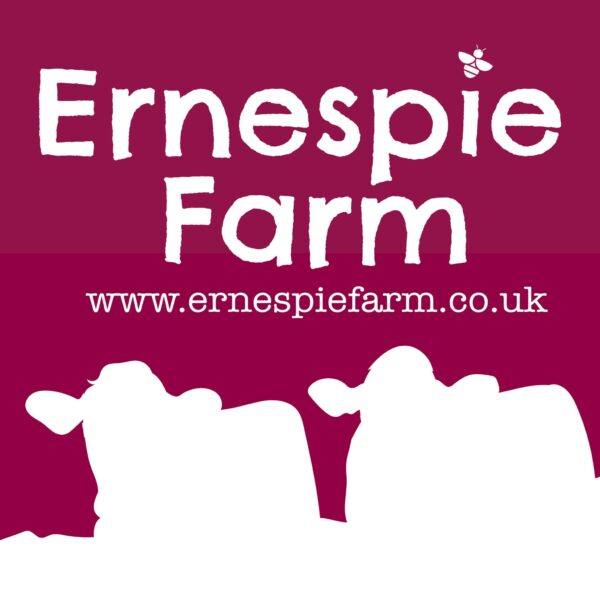 FAMILY DAY OUT FOR UPTO 6 TO ERNESPIE FARM #1 20P OR £50 CASH ALT